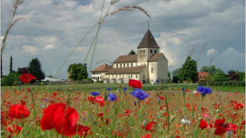 reichenau003